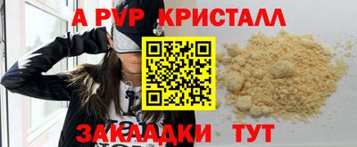 молекула духа Будённовск