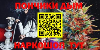молекула духа Будённовск