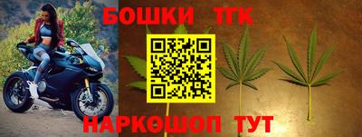молекула духа Будённовск