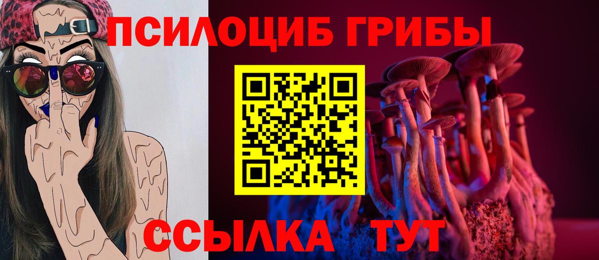 Галлюциногенные грибы Psilocybine cubensis  Вход с VPN  дарнет шоп  Галлюциногенные грибы GOLDEN TEACHER  Бугульма 